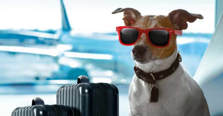 Urlaub mit gutem Gewissen-H