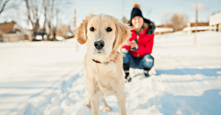 Weihnachten_2025_WEB_ES_OV-1331-H